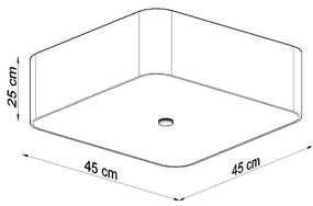 Stropné svietidlo LOKKO 45 čierne