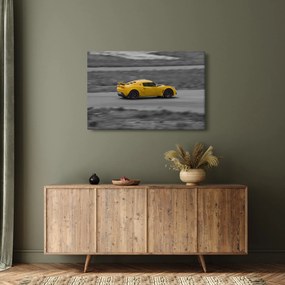 Obraz - Rýchle auto (90x60 cm)