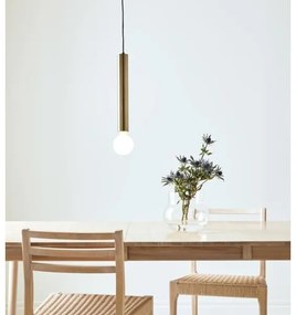 Markslöjd 108259 - Luster na lanku SENCILLO 1xE27/40W/230V zlatá