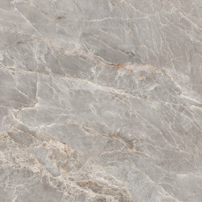 Dlažba Majestic Grey Silky 120x120 R