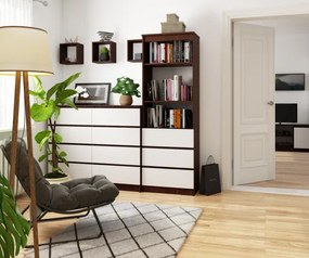 Regál R60 3SZ 2P CLP wenge / biely