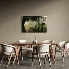 Obraz rannej hmly (90x60 cm)