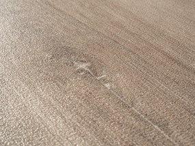 Beaulieu International Group, PVC podlaha - lino Livitex 2601, na mieru, šíře 3m,4m, hnedá, filc, chodba / predsieň