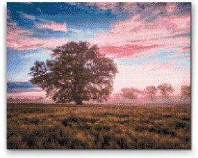 Gario Diamantové maľovanie Osamelý strom a červená obloha Rozmery: 50 x 40 cm, Rámovanie: S vnútorným rámom, Diamanty: Okrúhle