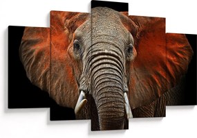 Obraz - Slony z Tsavo (150x105 cm)