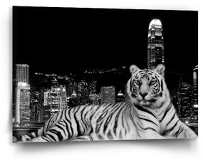 Sablio Obraz Mestský tiger - 90x60 cm