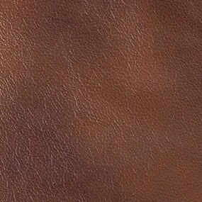 Kožené kreslo Dubaj LUX, hnedá (S-12)