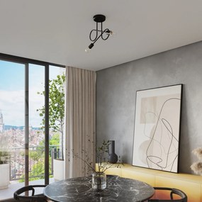 Stropné svietidlo Loop 2, čierne telo svietidla