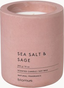 Vonná sviečka Fraga (Sea Salt & Sage)