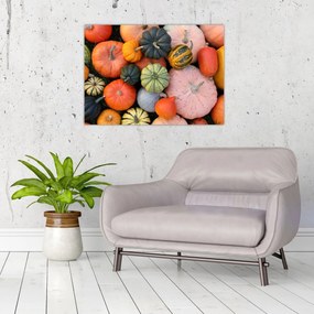 Obraz - Tekvica (70x50 cm)