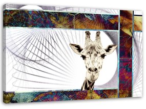 Obraz na plátně Zvířata žirafy - 60x40 cm