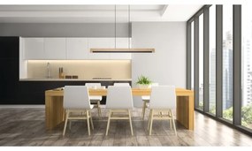 Eglo 99293 - LED Stmievateľný luster na lanku CAMACHO LED/25,5W/230V