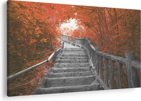 Obraz - Schody v prírode, oranžová (90x60 cm)