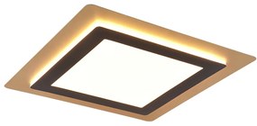 TRIO 641510280 MORGAN stropné svietidlo SMD LED 450x450mm 46W/6000lm 2700-6500K zlatá, čierna, stmievateľné, diaľkový ovládač