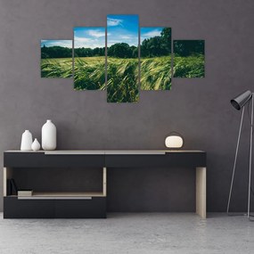 Obraz lúky a lesa (125x70 cm), 40 ďalších rozmerov