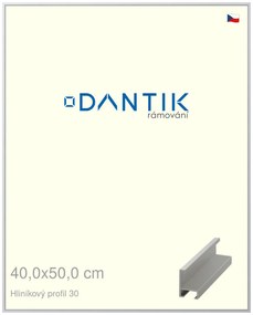 DANTIK rám na obraz 40x50 | ALU Stříbrná matná (Plexi Čiré)