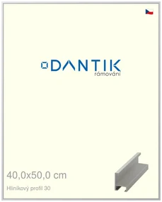 DANTIK rám na obraz 40x50 | ALU Stříbrná matná (Plexi Čiré)