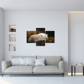 Obraz - Odpočívajúci vlk (90x60 cm)