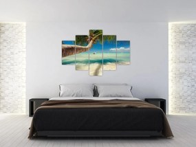 Obraz - Čisté more s palmou (150x105 cm)