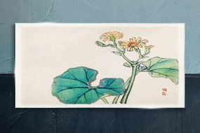 Obraz na skle Kvetinové listy kvetov