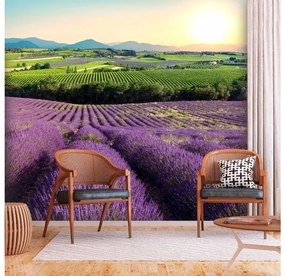 Artgeist Fototapeta - Lavender Field Veľkosť: 196x140, Verzia: Samolepiaca