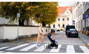 Lionelo - Kombinovaný kočík 2 v 1 MIKA Blue Navy