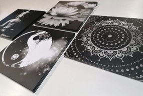 Set obrazov Feng Shui v čiernobielom prevedení - 4x 40x40