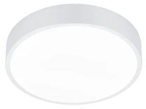 WACO S | Stropné LED svietidlo Farba: Biela