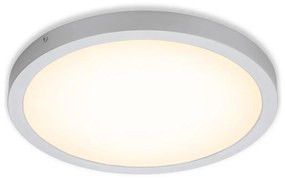 Briloner 7143-014 - LED Stropné svietidlo FIRE LED/24,5W/230V 3000K BL1099