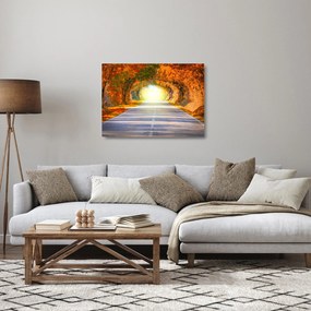 Sklenený obraz - Brána z korún stromov (70x50 cm)