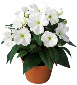 Umelá Netýkavka v kvetináči biela, 24 cm