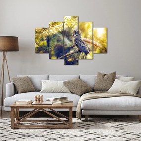 Obraz sovy na strome (150x105 cm)
