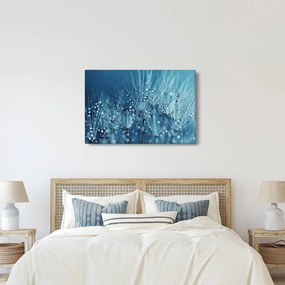 Obraz - Kvapky rosy (90x60 cm)