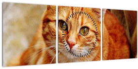 Obraz ležiace mačky (s hodinami) (90x30 cm)