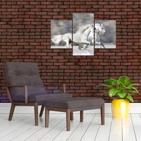 Obraz - Biele kone v zime (90x60 cm)