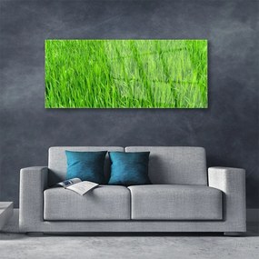 Obraz plexi Zelená tráva príroda trávnik 125x50 cm