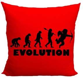 Vankúšik Evolution láska (Velikost: 40 x 40 cm)