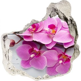 Diera 3D fototapety na stenu Orchidea na dreve nd-p-118409675
