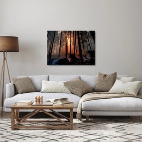Obraz temného lesa (70x50 cm)