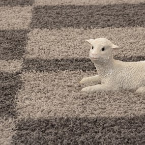 Ayyildiz, AKCIA: 200x290 cm Kusový koberec Gala 2505 taupe, hnedá, obývacia izba