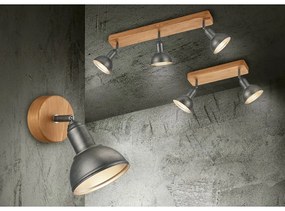 Bodové svietidlo v tmavosivo-prírodnej farbe 11x33 cm Delhi – Trio