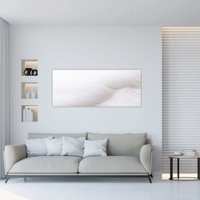 Obraz - Biele pierko (120x50 cm)