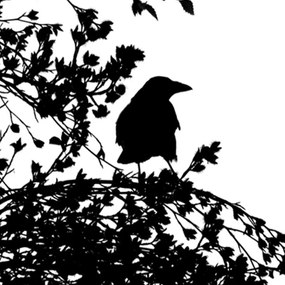 Ozdobný paraván Černobílý pták - 145x170 cm, štvordielny, obojstranný paraván 360°
