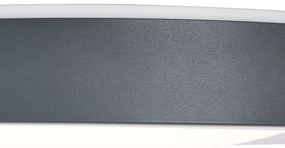 Moderné stropné svietidlo sivé s bielou farbou 48 cm vrátane LED stmievateľné RGB - Kanton