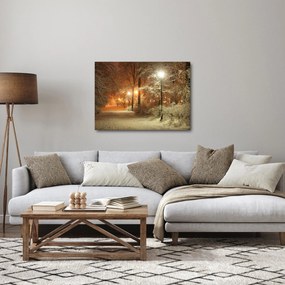 Obraz - Zasnežený park (70x50 cm)