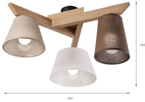 Brilagi - LED  Prisadený luster ANTHONY 3xE14/40W/230V dub