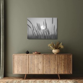 Sklenený obraz - Lúka pri západe slnka (70x50 cm)
