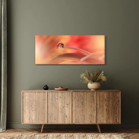 Obraz kvetinové kvapky rosy (120x50 cm)