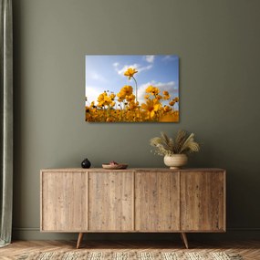 Sklenený obraz poľa s jasne žltými kvetmi (70x50 cm)
