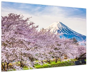 Obraz - Japonsko na jar (90x60 cm)